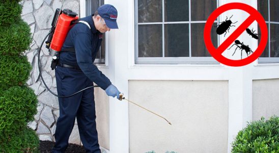 Bolu Hamam Böceği İlaçlama böcek ilaçlama ve haşere kontrolü — ilaclama-tr.com